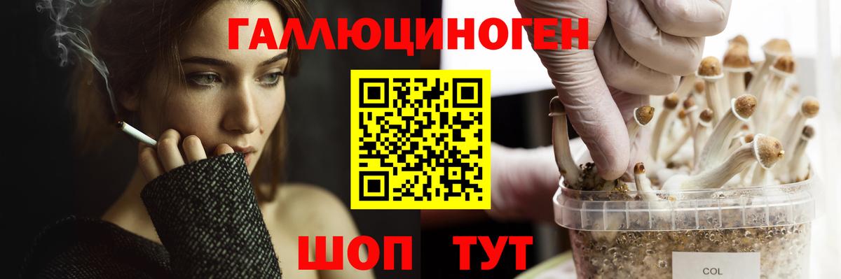 Новоуральск  Галлюциногенные грибы мицелий  Вход с VPN 